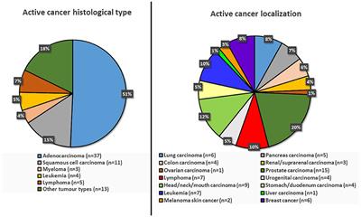 Transient ischemic attacks in patients with active and occult cancer